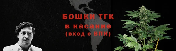 ГАЛЛЮЦИНОГЕННЫЕ ГРИБЫ Медногорск
