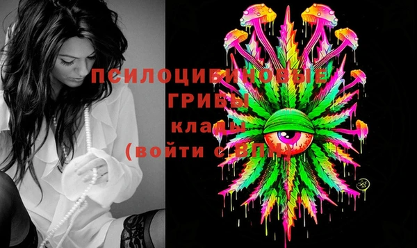 ешки Медвежьегорск
