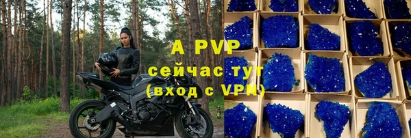 сатива Абаза