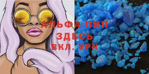 сатива Абаза