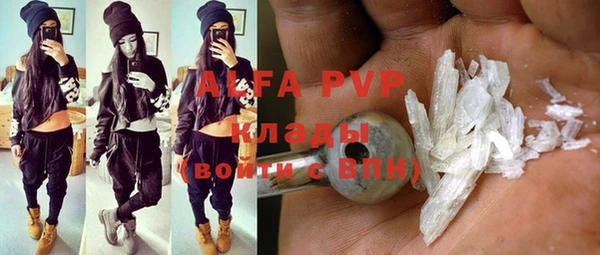 сатива Абаза