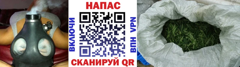 MEGA ONION  Янаул  Канабис VHQ 